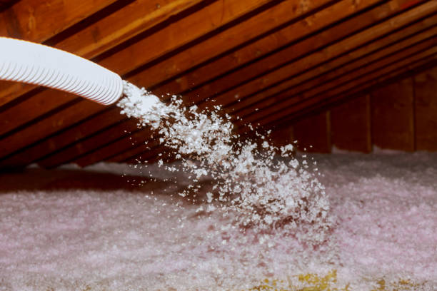 Best Insulation Installation Services in Lamar, SC