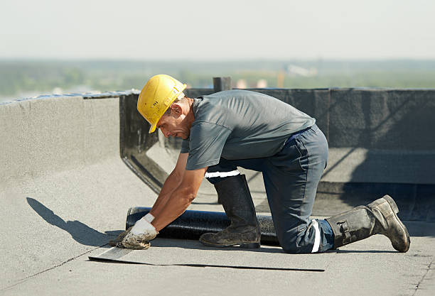 Best Specialty Insulation in Lamar, SC